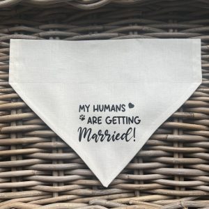 Cotton Bandana- Getting Married- Ivory