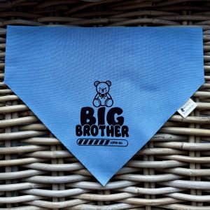 Cotton Bandana- Big Brother Pending (Various Colours)