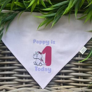 Cotton Bandana - Pink Dino Custom Birthday Age and Name