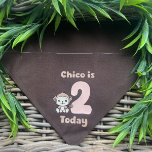 Cotton Bandana - Monkey Custom Birthday Age and Name