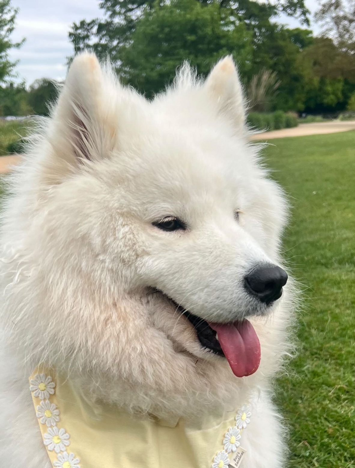 37C5C358-73E8-4E74-82B1-6746A58104EF 37C5C358-73E8-4E74-82B1-6746A58104EF