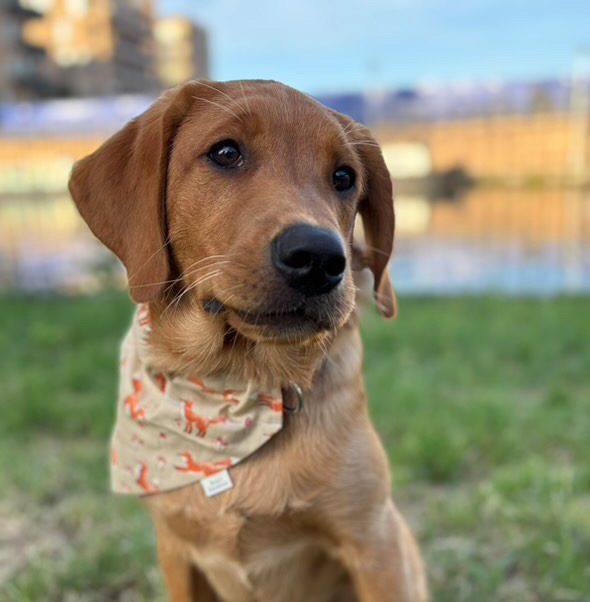 924482F1-8E6D-4418-8125-AED164AE8BCD 924482F1-8E6D-4418-8125-AED164AE8BCD