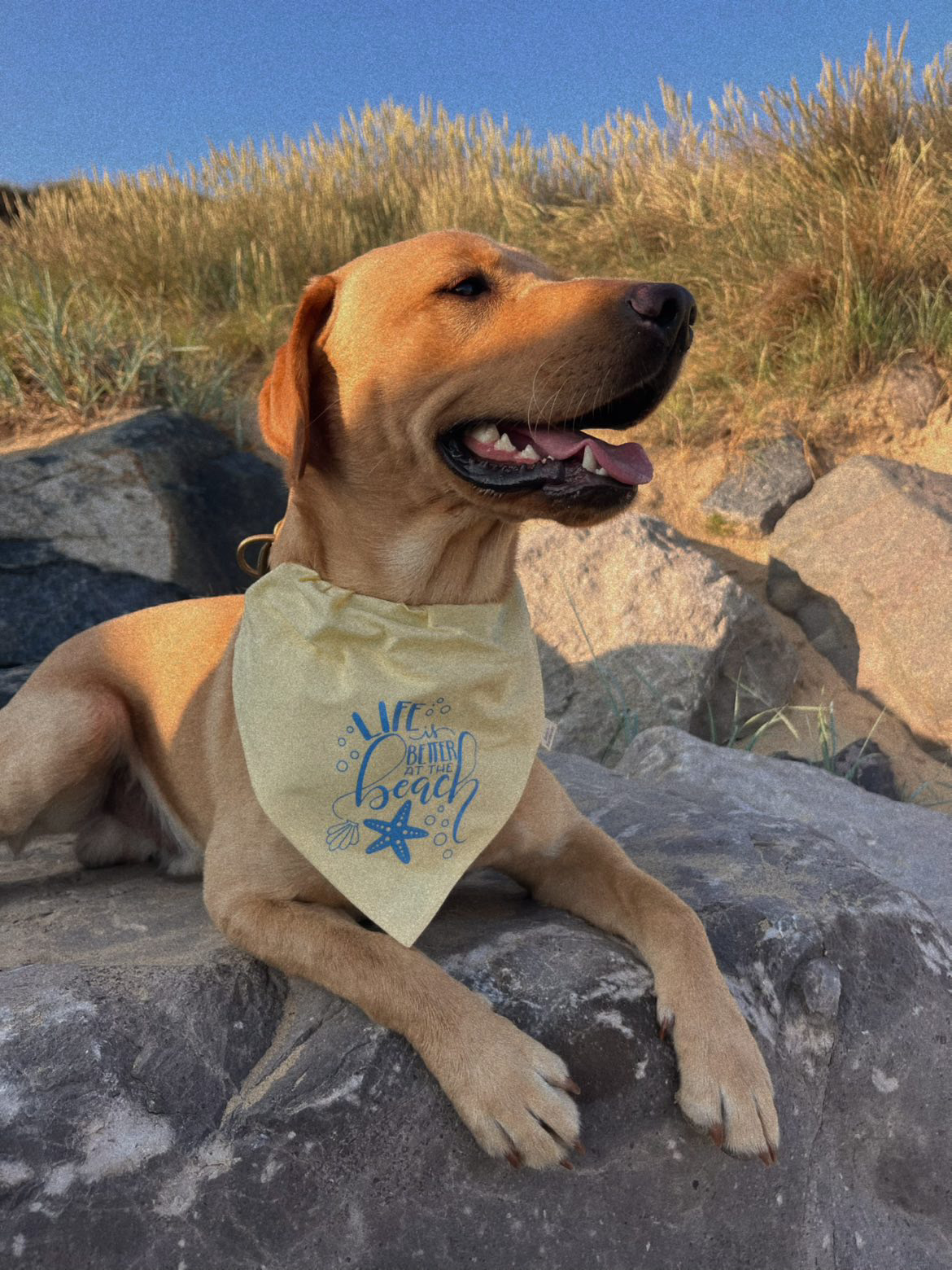 E98CB042-462E-4B6C-9B7E-33977C8B9002 E98CB042-462E-4B6C-9B7E-33977C8B9002