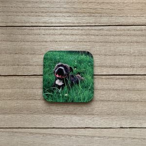 Fridge Magnet- Print Your Own Cartoon Style Photo