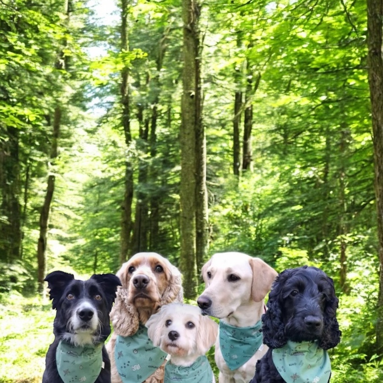 Photoroom_20250702_221726 Photoroom_20250702_221726