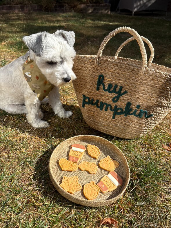 Bespoke Cotton Bandana- Paw-tumn Leaves and Lattes - Image 3