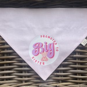 Cotton Bandana- Promoted To Big Sister