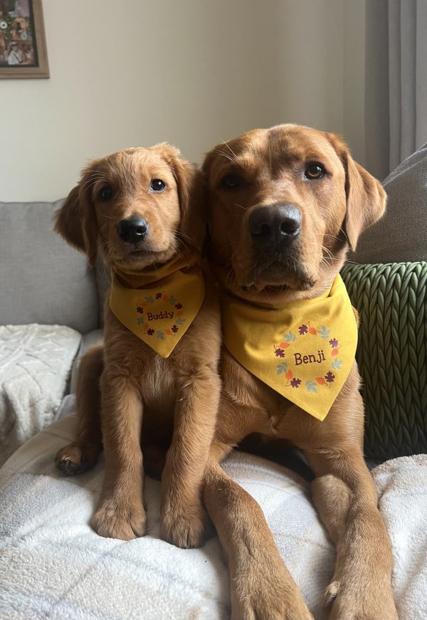 Mustard Cotton Bandana- Custom Autumn Wreath - Image 2