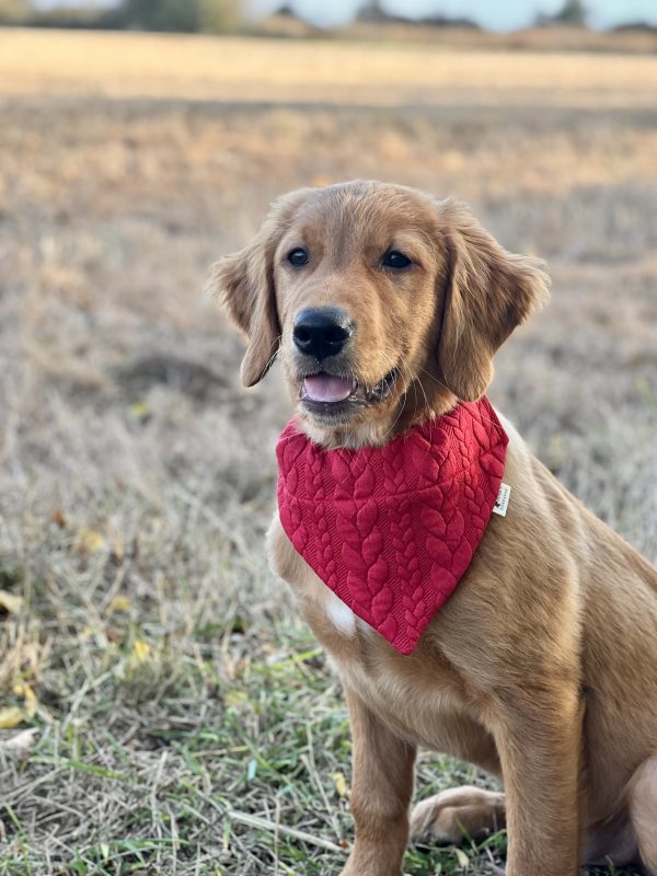 Cable Knit Look Bandana - Image 7