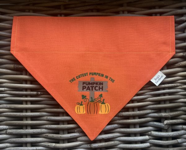 Orange Cotton Bandana- Cutest Pumpkin