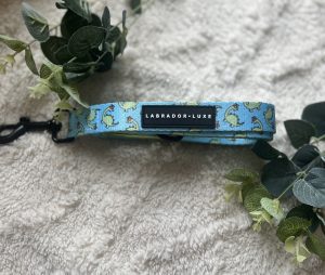 Labrador Luxe Dinosaur Lead- One Size
