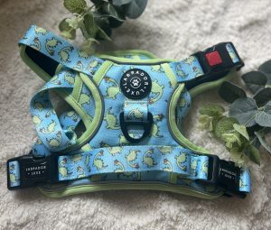 Labrador Luxe Dinosaur Harness- Size Medium