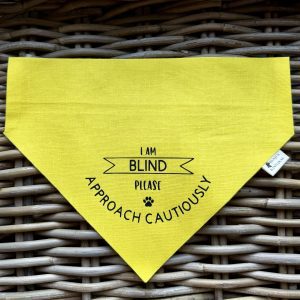 Awareness Bandana- I Am Blind