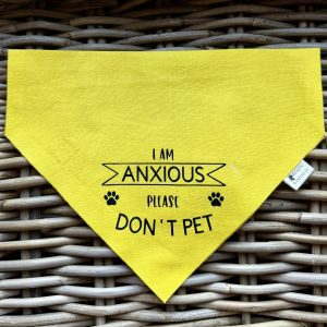 Awareness Bandana- I Am Anxious