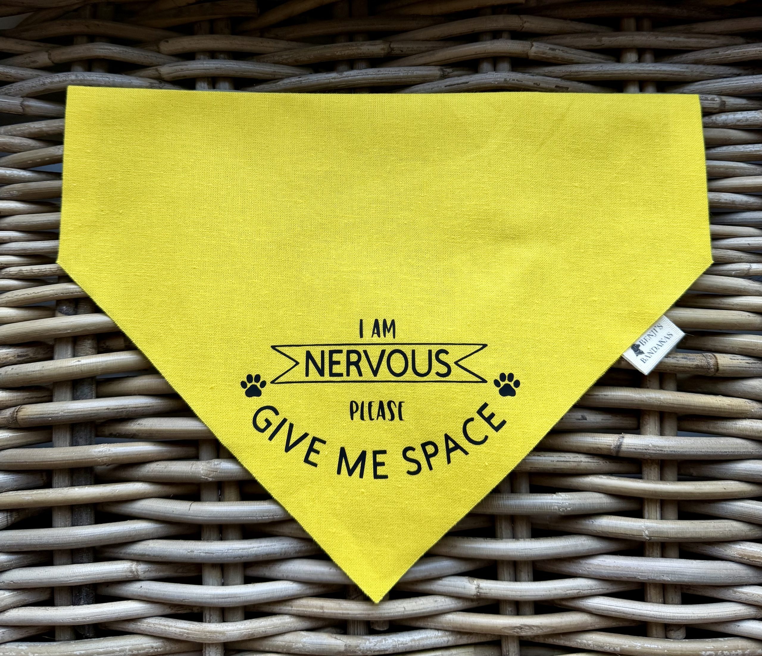 Awareness Bandana- I Am Nervous