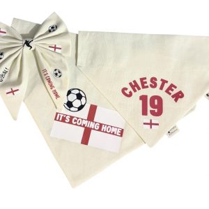 Football Collection