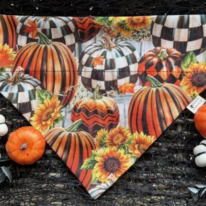 Cotton Bandana - Plaid & Stripe Pumpkins