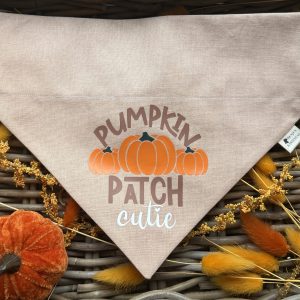 Cotton Bandana - Pumpkin Patch Cutie